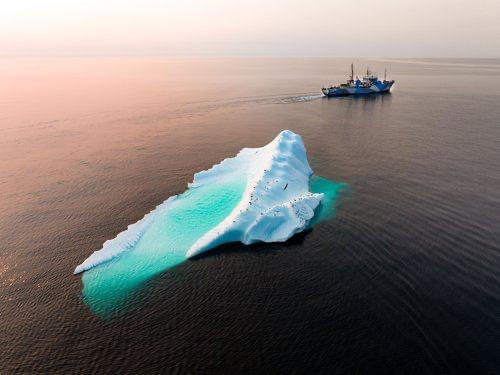 Aroma per gli Oceani: Preservare il futuro con la Captain Paul Watson Foundation